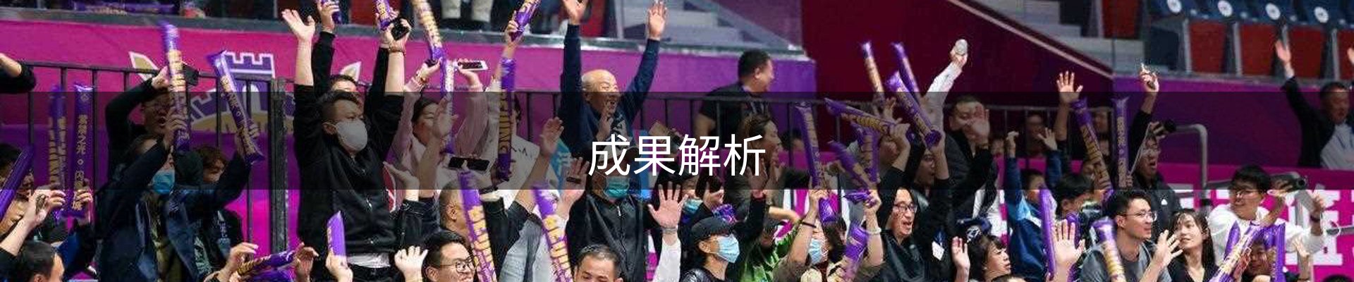 成果解析